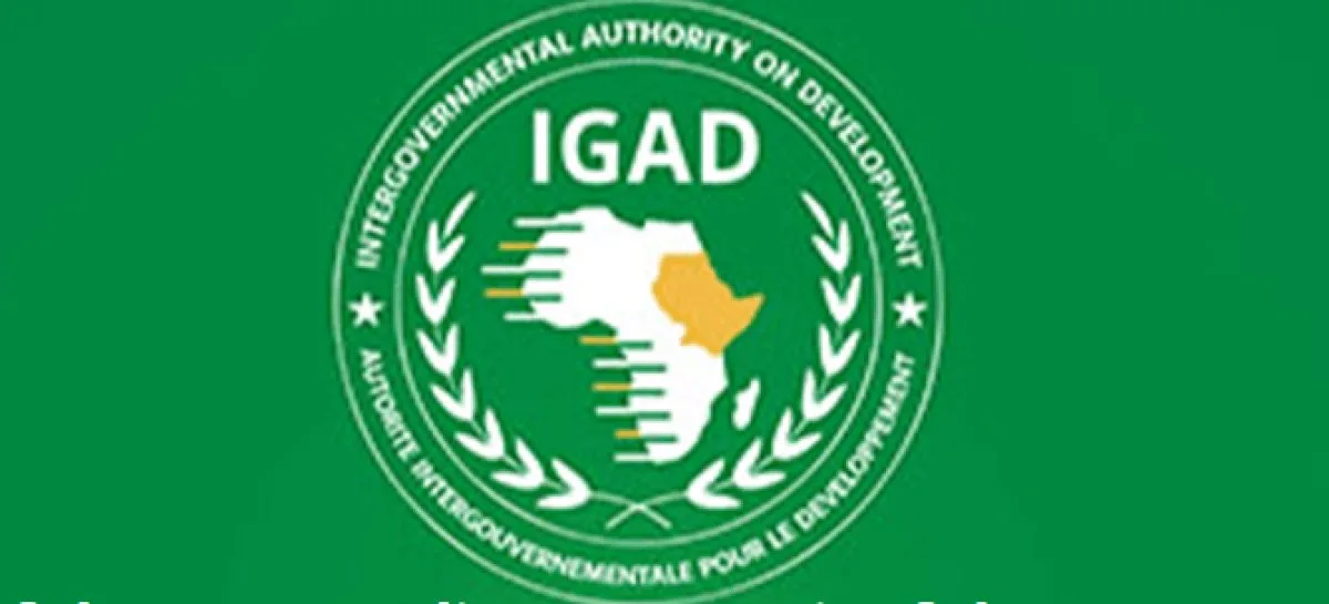 IGAD Calls for Resumption of Xalane Talks and Agreement on Elections
