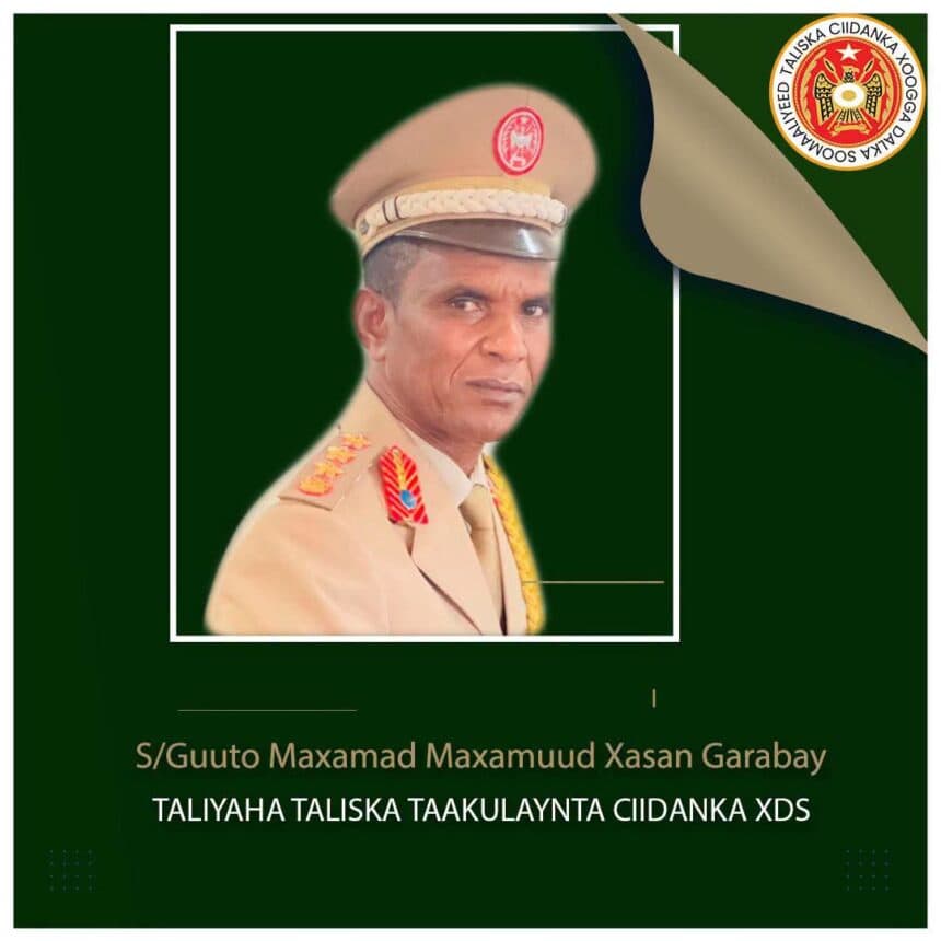 Madaxweynaha Xasan oo Magacaabay Taliyaha Cusub ee Saadka Ciidamada