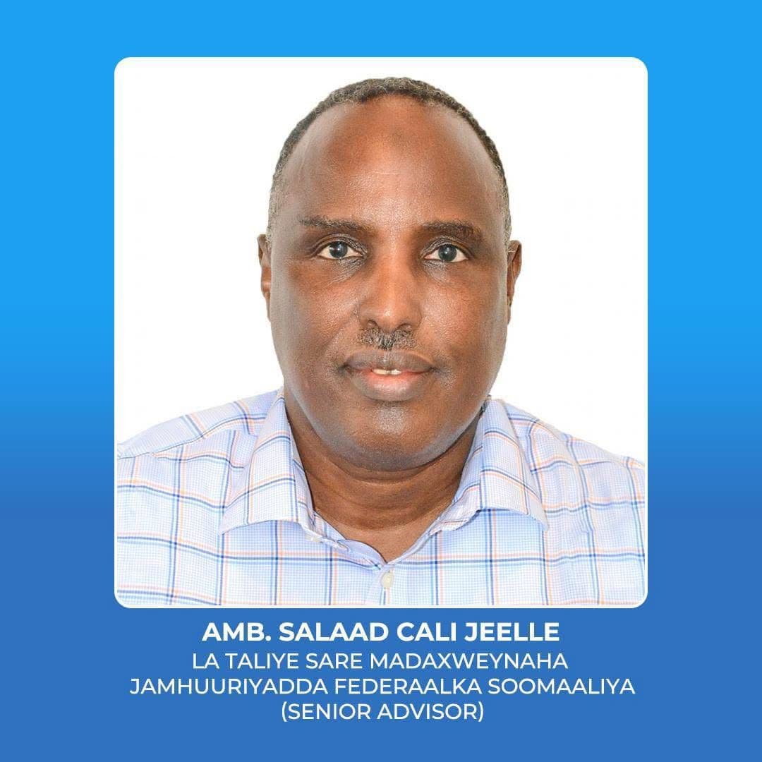 Madaxweynaha Soomaaliya oo Magacaabay Diblomaasi Khibrad Leh Salad Cali Jeelle oo ah La-taliye Sare