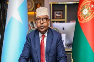 Somali army says 50 militants, militia fighters killed near Baidoa