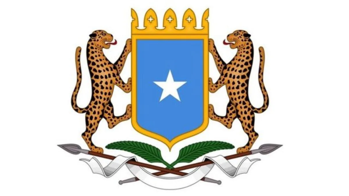Somaliya oo Canbaarisay Dagaal Dron ah oo Lagu Qabtay Sacuudiga