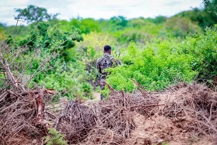 Sawir war oo la xiriira Xoogagga Lafta-gareen iyo ciidanka DFS oo ku dagaalamay duleedka Baydhabo.