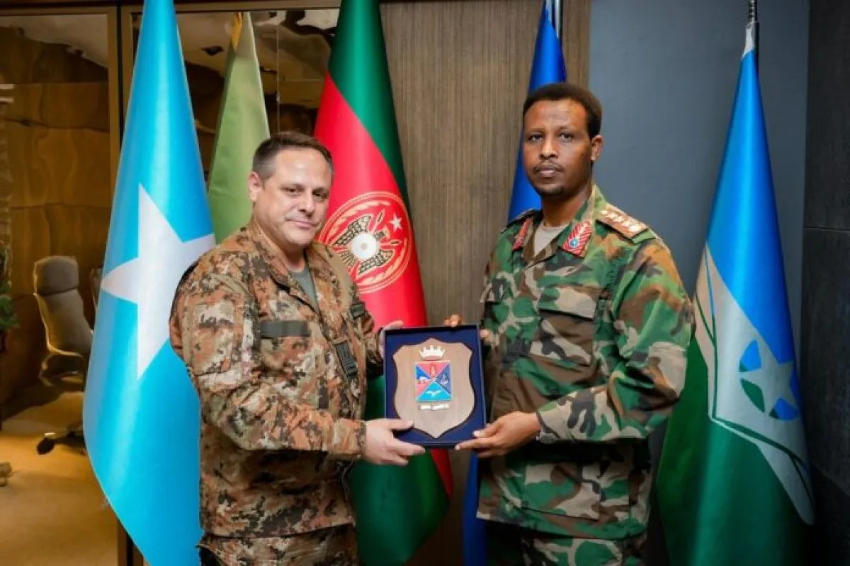 Turjumaad ayaa la diyaarinayaa
