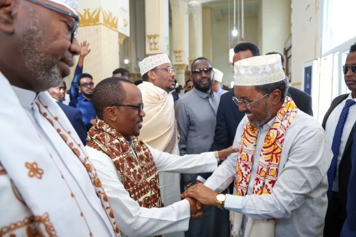 Turjumaad ayaa la diyaarinayaa