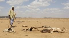 Warning of famine issued regarding the drought situation in Somalia
