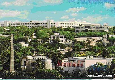 Turjumaad ayaa la diyaarinayaa