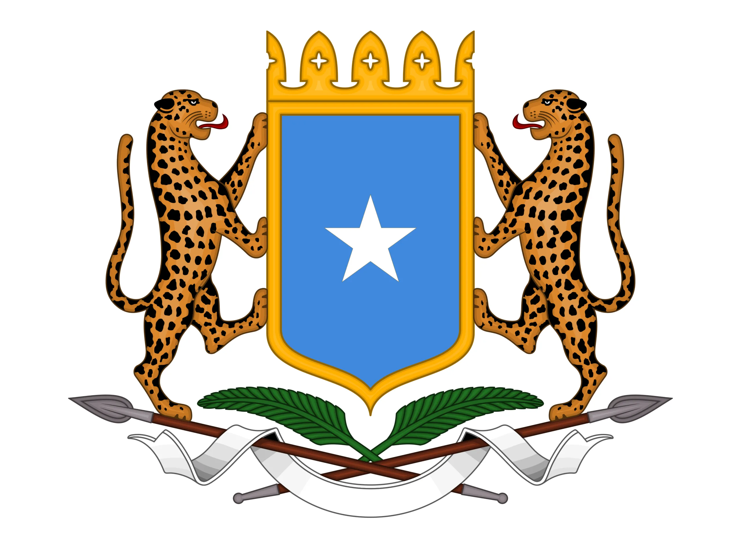 Sawir war oo la xiriira DF Soomaaliya oo sheegtay inay ka go’an tahay in si buuxda loo ciribtiro…