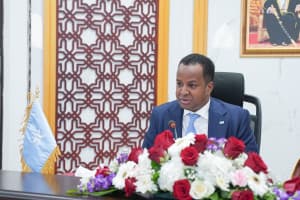 Soomaaliya oo cambaaraysay weerarada drone-ka ee Sacuudiga kadib markii drone-yadu ka soo galeen Ciraaq