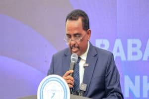 Turjumaad ayaa la diyaarinayaa