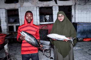 Turjumaad ayaa la diyaarinayaa