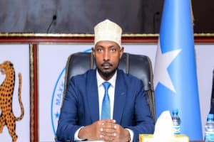 Turjumaad ayaa la diyaarinayaa