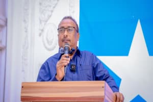 Turjumaad ayaa la diyaarinayaa