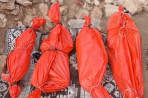Turjumaad ayaa la diyaarinayaa