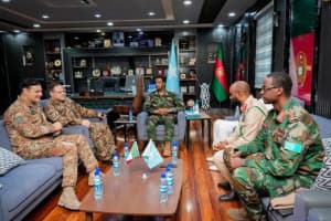 Turjumaad ayaa la diyaarinayaa