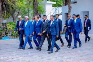 Turjumaad ayaa la diyaarinayaa