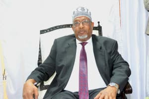 Aden Madobe elected Southwest regional president after Sharif Hassan withdraws